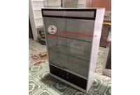 Tủ kính trưng bày mini đặc biệt mã số 515